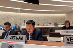 Le chef adjoint de la délégation permanente du Vietnam à Genève, Cung Duc Han lors de la session. Photo : VNA