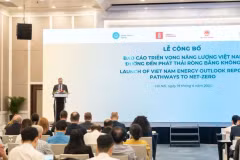 Lors de la cérémonie de publicité du rapport. Photo : VNA