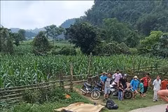 Un Allemand tué et sa femme blessée après la chute d'une moto dans le Nord du Vietnam. Photo / VNA