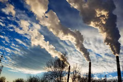 Approbation de la stratégie nationale de protection de l'environnement pour 2030 et d'ici 2050