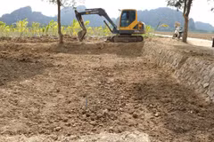 Archéologie: Hai Phong rebouche des trous de fouille pour préserver d'anciens pieux