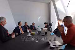 Potentiel de la coopération Vietnam-Belgique dans de nombreux domaines