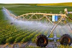 Sciences et technologies, nouveau souffle pour l’agriculture vietnamienne