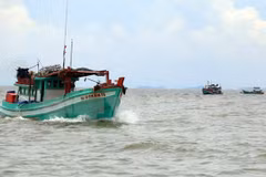 Le Vietnam proteste fortement contre l'usage de la force contre ses pêcheurs 