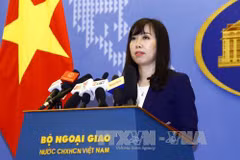 Le Vietnam prend à temps les mesures nécessaires pour protéger ses ressortissants 