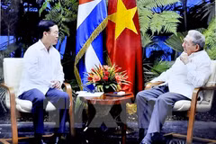 Vietnam-Cuba : renforcement de l’amitié et de la solidarité entre les Partis communistes 
