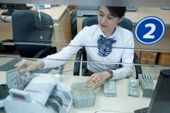 Les envois de fonds à Hô Chi Minh-Ville en hausse de 14,2% 