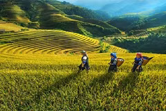 La science et la technologie, base du développement économique des régions montagneuses