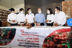 Le litchi "thiêu" du Vietnam à la conquête du marché européen
