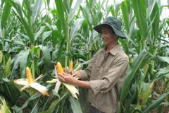 Bayer assiste le Vietnam pour développer l’agriculture high-tech