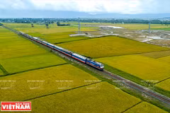 La ligne ferroviaire à grande vitesse Ho Chi Minh-Ville - Can Tho à l’étude