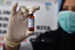 Philippines : le nombre de cas de rougeole à Manille a augmenté de 550%