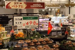 Vietnam-Japon renforcent leur coopération dans la transformation des produits alimentaires
