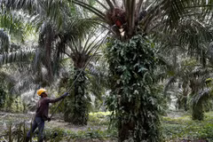 La Malaisie et l’Inde vont travailler à l’amélioration de leurs relations