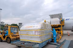 COVID-19 : Plus de 97.000 doses du premier lot de vaccin de Pfizer sont arrivés au Vietnam