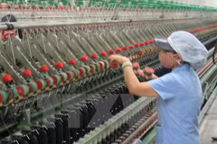 Les entreprises européennes sont optimistes pour l’environnement des affaires au Vietnam