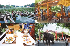 Le 6e Festival gastronomique «Dât Phuong Nam»