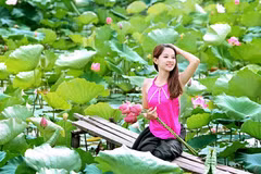 Hano​i à la saison des lotus