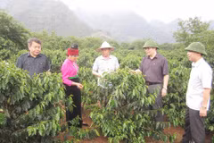 Le 7e Congrès de l’Association des agriculteurs d'Asie pour un développement rural durable
