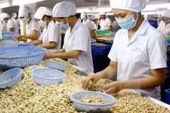 Les exportations de produits agricoles, sylvicoles et aquatiques devraient atteindre 31 milliards