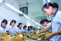 Textile et chaussures : les fournisseurs vietnamiens recevront des prêts préférentiels de l’IFC