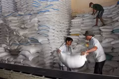 Vietnam et Thaïlande gagnent l’adjudication d’exportation de 250.000 tonnes de riz 