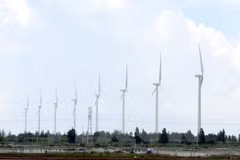 Inauguration du parc éolien de Bac Lieu