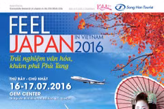 Le festival ​"Feel Japan in Vietnam 2016​" à Ho Chi Minh-Ville