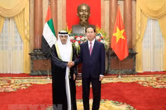 Le président Tran Dai Quang reçoit de nouveaux ambassadeurs