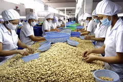 Dong Nai : chiffre d’affaires à l’export de 4,3 milliards de dollars au premier trimestre