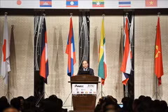 Le PM Nguyen Xuan Phuc participe à un forum d’affaires Mékong-Japon
