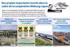 [Infographie] Des projets importants inscrits dans le cadre de la coopération Mékong-Japon