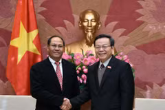 Promouvoir la coopération entre les organes législatifs Vietnam-Laos 