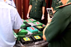 Ba Ria-Vung Tau: 100 pains de cocaïne découverts dans un conteneur 