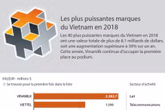 [Infographie] Les plus puissantes marques du Vietnam en 2018