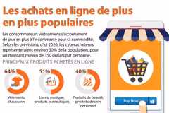 [Infographie] Les achats en ligne de plus en plus populaires