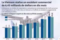 [Infographie] Le Vietnam réalise un excédent commercial de 6,43 milliards de dollars en dix mois