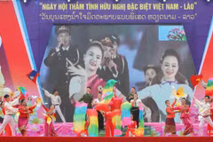 Journée de l'amitié spéciale entre le Vietnam et le Laos à Dien Bien