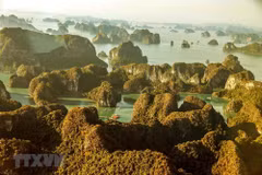 10 meilleures activités pour explorer la baie d'Ha Long