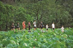 Le lotus, un marché prisé de l’écotourisme