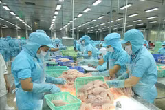 Les exportations de produits agricoles, sylvicoles et aquacoles dépasseront 47 milliards de dollars