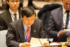 Le Vietnam soutient les processus juridiques internationaux
