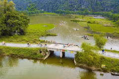 Tam Coc : les rizières verdoyantes séduisent les touristes 