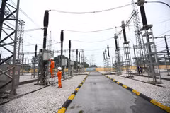 Electricité: les entreprises vietnamienne et russe reprennent leur coopération stratégique 