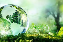 Hanoï organisera un dialogue sur l'environnement en juillet