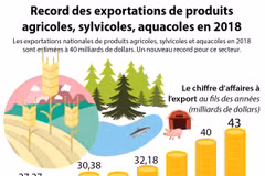 [Infographie] Record des exportations de produits agricoles, sylvicoles, aquacoles en 2018