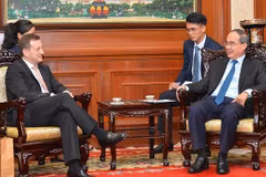 Dynamiser les relations Vietnam - France dans divers domaines