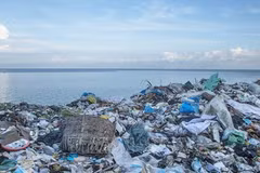 Gestion de déchets plastiques marins pour un développement durable de la pêche