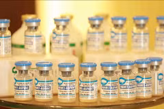 Un journal français loue la mise au point par le Vietnam d'un vaccin contre la PPA