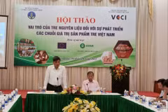 Promouvoir les valeurs économiques du bambou vietnamien
